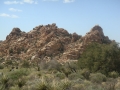 Joshua Tree NP